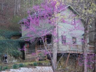 Turner Bend Cottage - 0