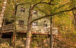 Turner Bend Cottage - 5