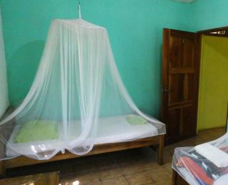 Hostal Flor de Pochote - 6