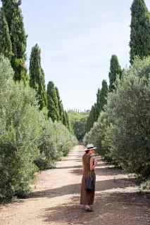Seigneurie de Peyrat - Le Parc - 0