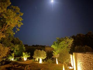 Le jardin de la Vade - 3