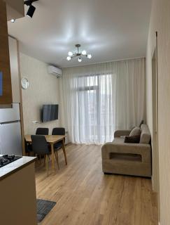 Apartment near digomi - 4