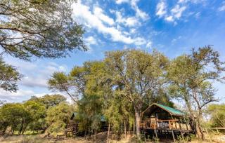 Ndzhaka Tented Camp - 8