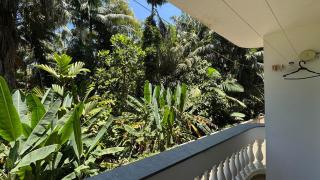 Cozy apartment in Ubatuba! - 2