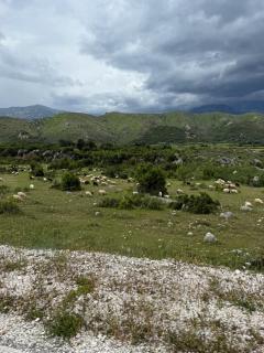 Elis Villa Berat - 9