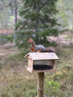 Hytta på Øyfjell med badestamp - 4