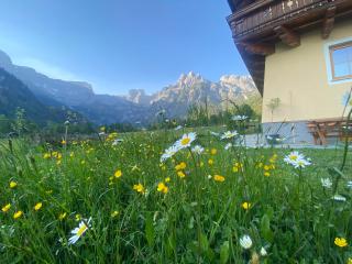 Alpen Appartements Oberlehengut - keine Haustiere - allergikerfreundlich - 8