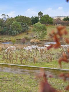 Wren Hill - Dreamy Home with Spectacular Views - Orange - 9