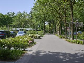 Brabants licht - 5