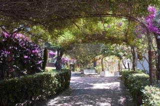Casa La Pergola - Giardini Naxos - 6
