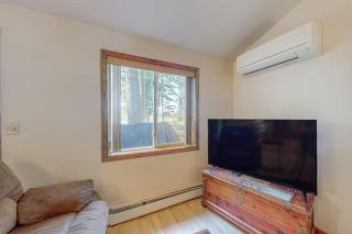 Tall Pines - 2