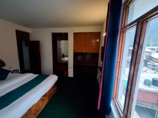 Hotel Alpine Manali - 8