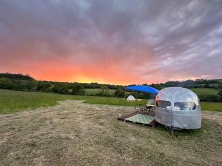Rockstar's 1946 Airstream Onsite / Delivered Local - 7