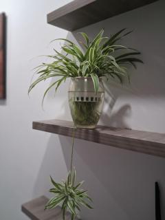 Chung cư mini Ánh Dương xã Vân Canh Hoài Đức - 6