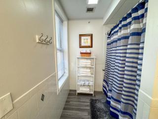 Brookline Village, Central Air, 2B, Near Longwood - 8