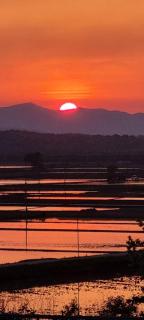 Paju Seolreda - Paju - 8