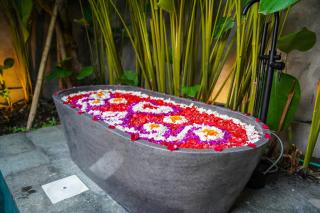 Damarya Boutique Villas Ubud - 4