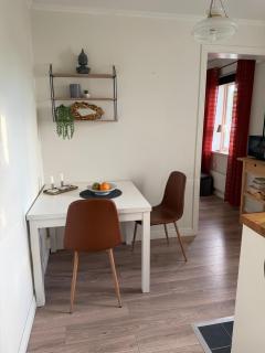 Studio apartment centrally located - 1