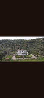Agnandi - 6