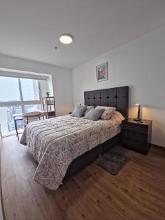 NEW and modern apartment in San Isidro - 5