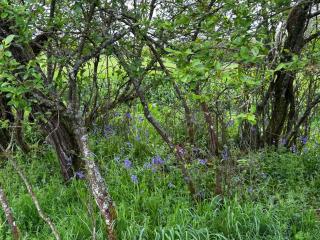 Keepers Cottage - Warminster - 8