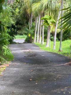 La Palmeraie - 3