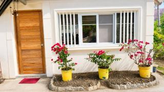 Sweden's Tiny House walking distance Gaisano Mall, Masbate City - 7