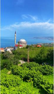 Denizin ve doğanın birleştiği yerde mükemmel bir tatil için mükemmel bir villa 9 yataklı- 4 yatak odalı-3 banyolu-4 klimalı - 0