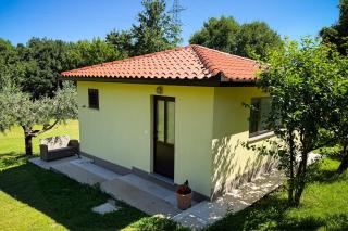 Marisa Olive Grove Apartments - 2