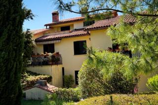 Marisa Olive Grove Apartments - 1