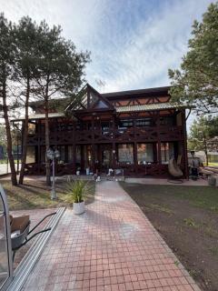 NEMIRSETA PINE Apartments - 3