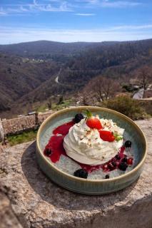 Auberge du Château de Bézaudun Les Alpes - 3