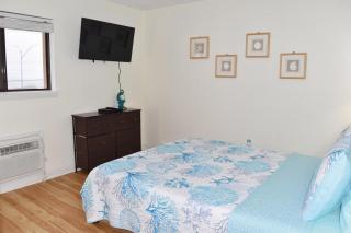 Coral Reef 311 - 1