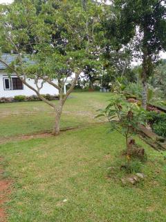 Royal Paradise Villa - 2