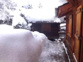 Chalet LA MARMOTTE - 7