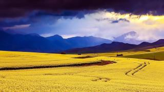 Zamar Guest House - Caledon - 7