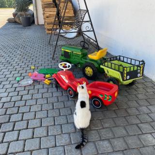 Die Bartlmühle - 8
