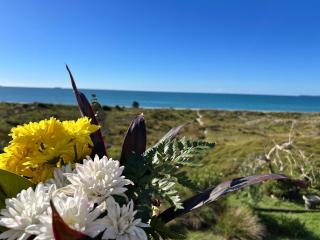 Rare Beachfront paradise - 8