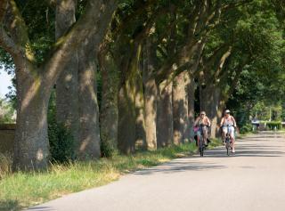 Villapark de Weerribben - 9