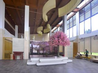 Galaxy Bay Resort - 6