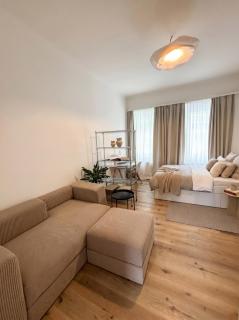 Blue River Studio Krems - Charmantes Studio - 9