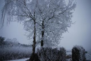 Vledderstee - Vledderveen - 2