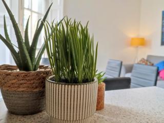 Magic of Meadows 4 Bedroom Flat - 3