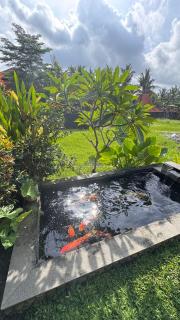 Pondok Sarwi - 7