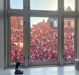 Townhouse With Japanese Cherry Tree In Østerbro - 7