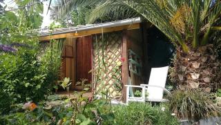 Petit cocoon - 2