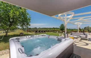 Luxurious Home In Jursici - 9