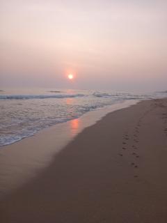 Black Forest Beach Resort - 1