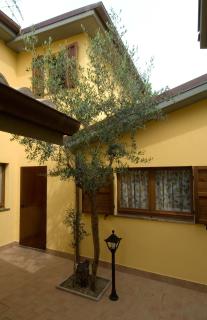 Country House La Madonnina - Senigallia - 4