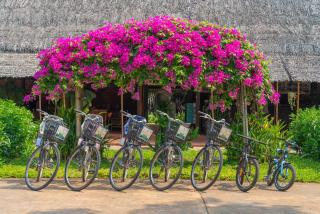 ENSO Retreat Hoi An - Rediscovery & Serenity - 4
